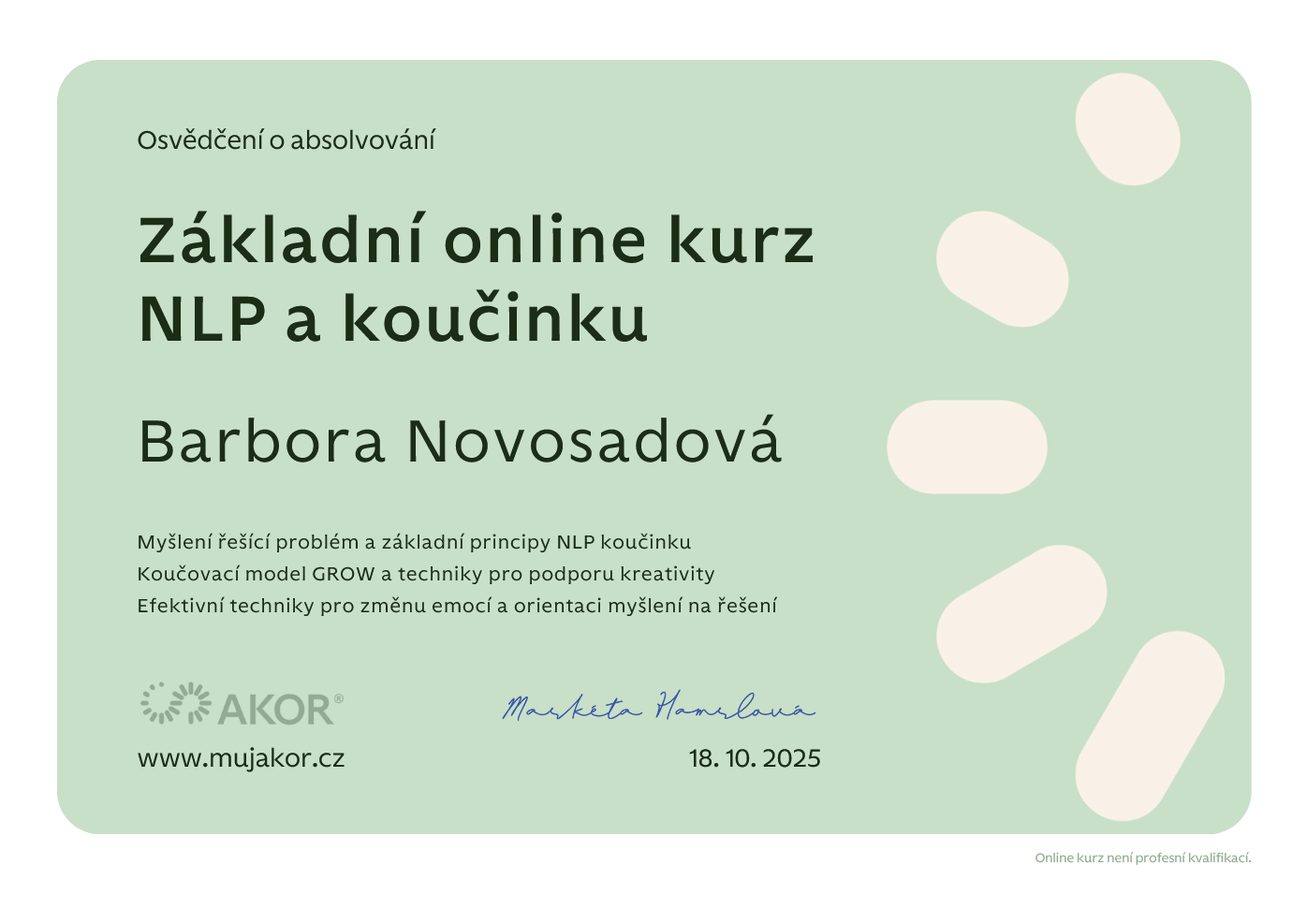 NLP a koučing, AKOR